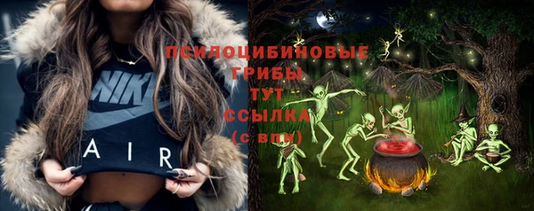 герыч Алексин