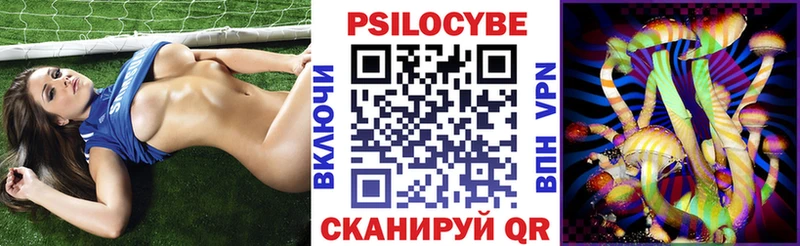 Псилоцибиновые грибы Psilocybe  Вичуга 
